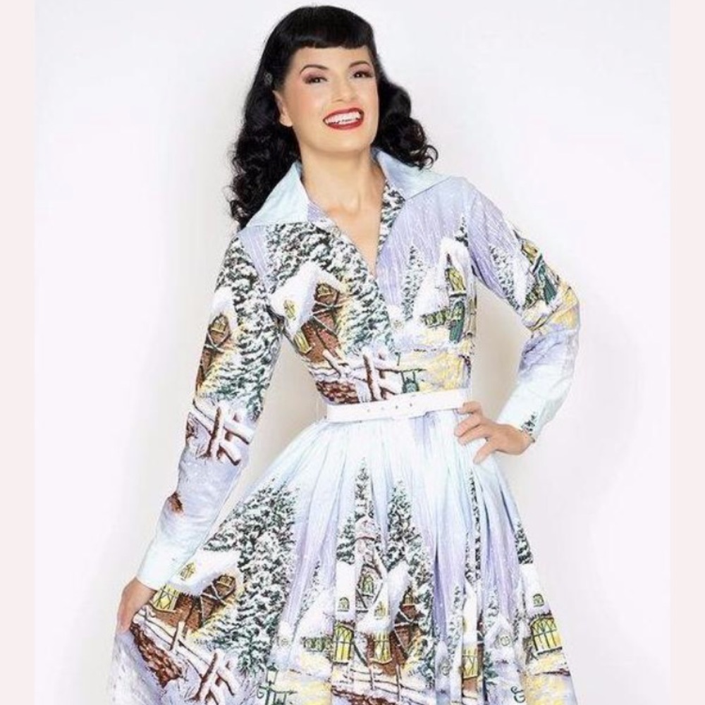 Bernie Dexter Nicole Dress in Winter Wonderland-L